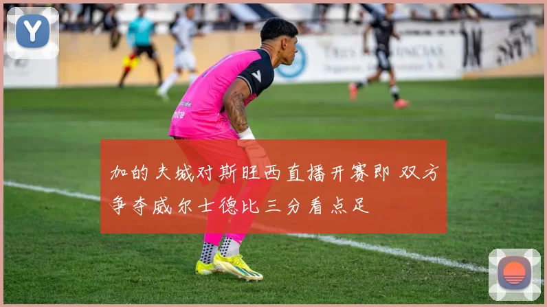 加的夫城对斯旺西直播开赛即 双方争夺威尔士德比三分看点足