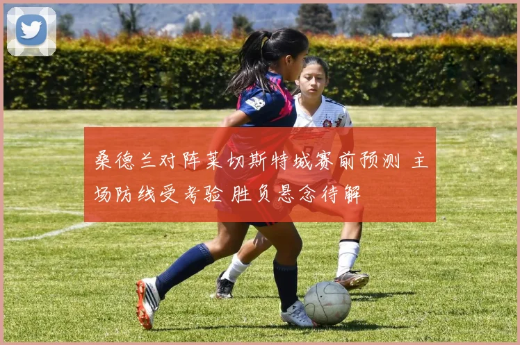 桑德兰对阵莱切斯特城赛前预测 主场防线受考验 胜负悬念待解